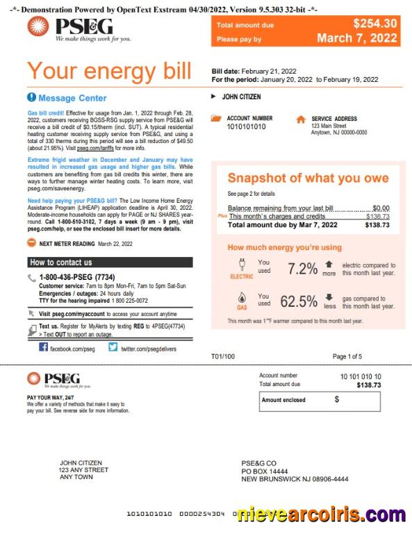 USA New York PSEG utility bill, 5 pages 1
